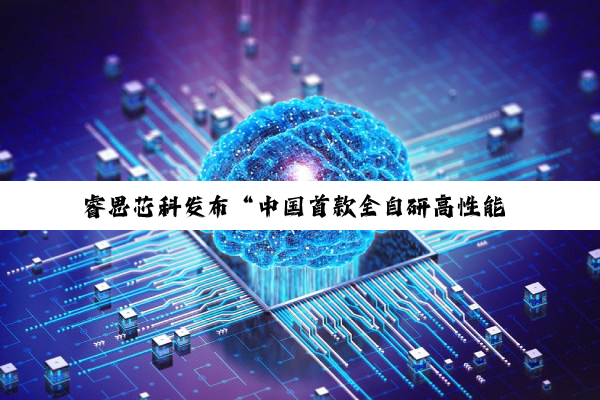 睿思芯科发布“中国首款全自研高性能 RISC-V 服务器芯片”灵羽处理器