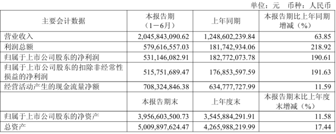 营收净利双飙升！瑞芯微上半年净利润暴涨190.61%