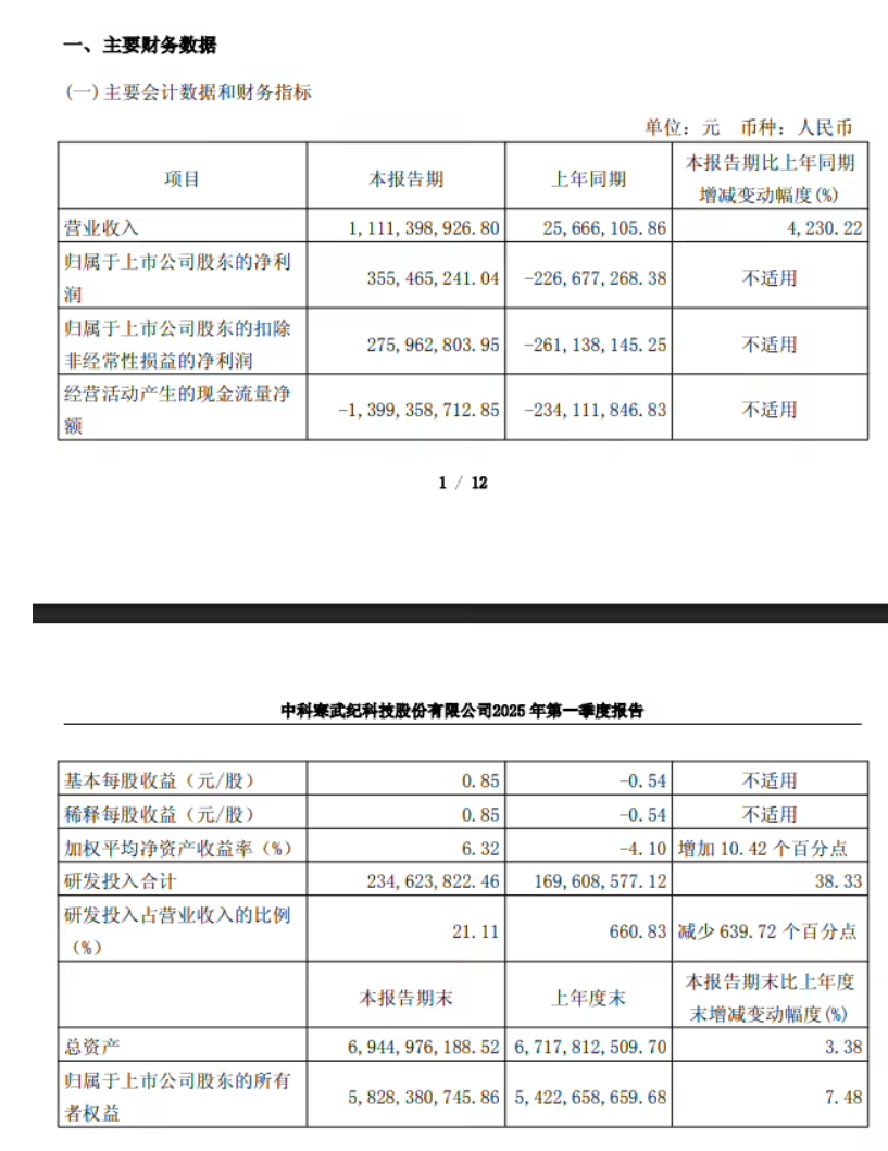 第一季度扭亏为盈，寒武纪 2025 年将持续加大研发投入