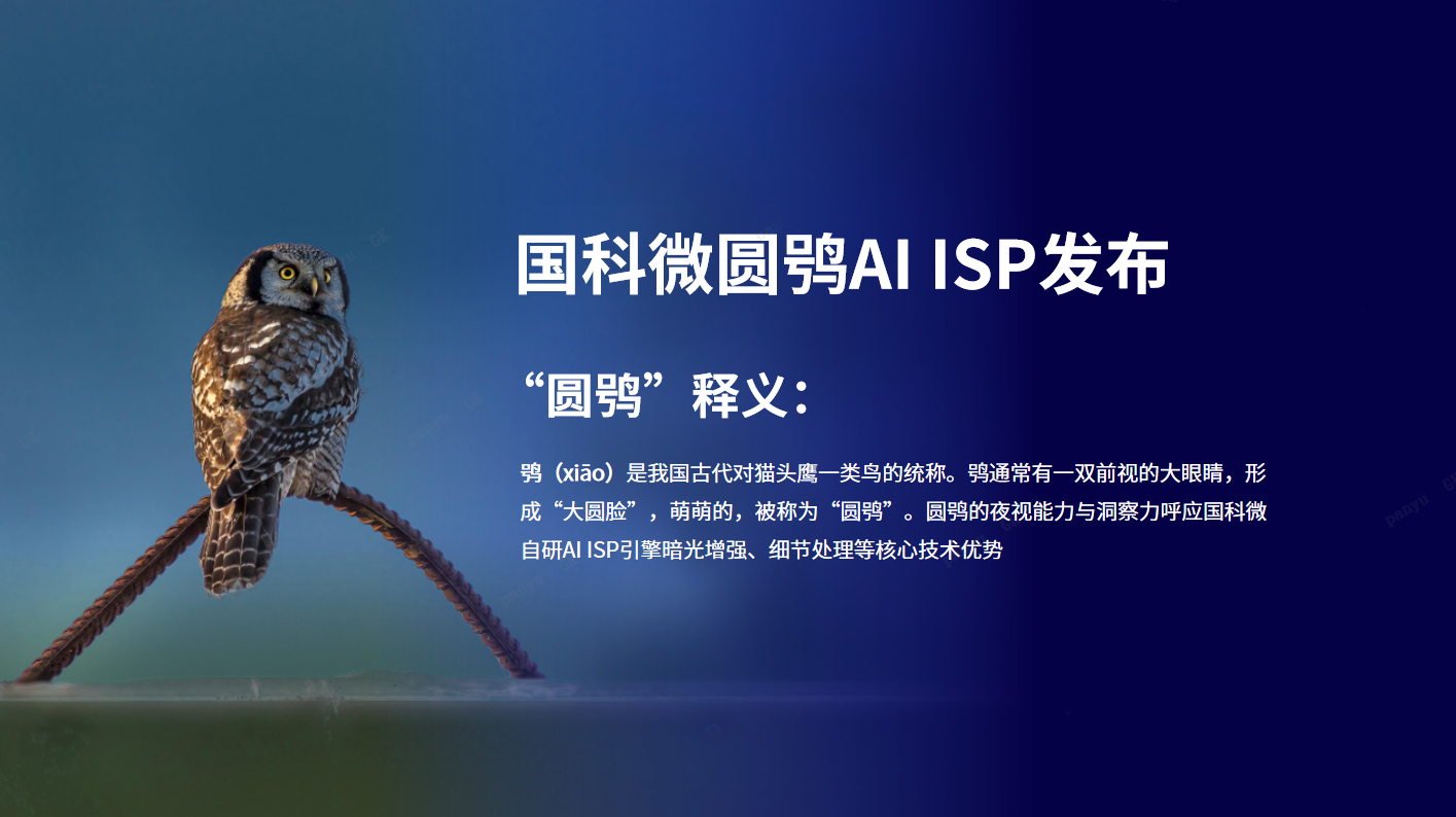 国科微AI ISP品牌 “圆鸮”震撼发布，推动图像处理技术跨越升级