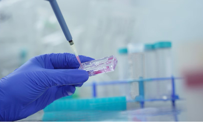 创投观察站 | 背靠东南大学，艾玮得生物获新一轮融资加速“在芯片上模拟人体”